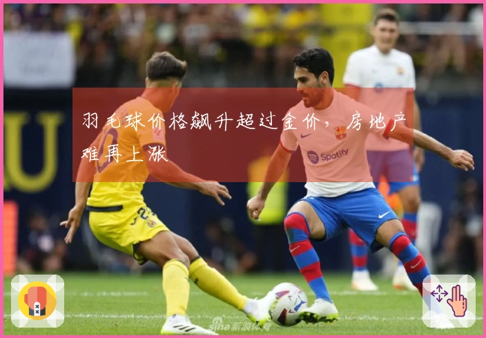 羽毛球价格飙升超过金价，房地产难再上涨