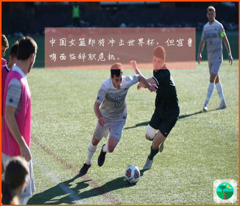 中国女篮即将冲击世界杯，但宫鲁鸣面临辞职危机。