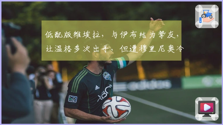 低配版维埃拉，与伊布结为挚友，让温格多次出手，但遭穆里尼奥冷落