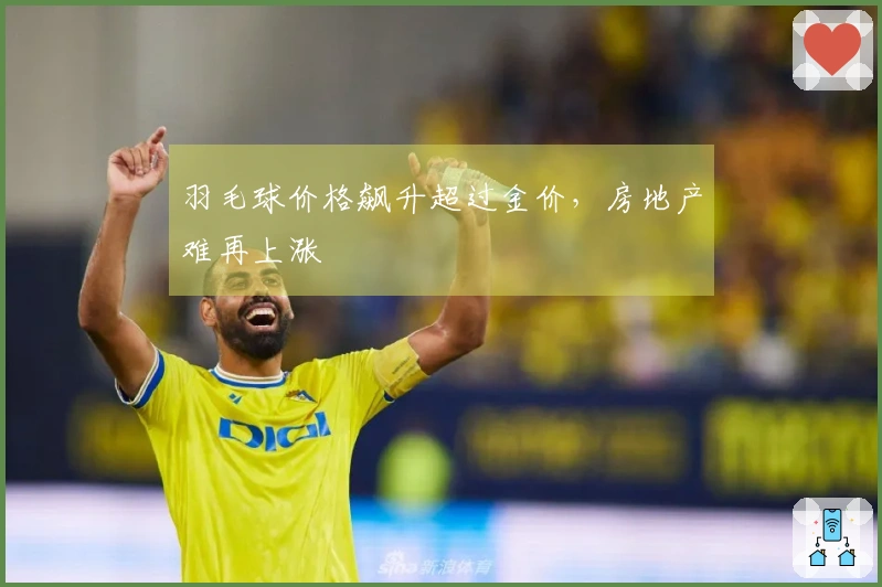 羽毛球价格飙升超过金价，房地产难再上涨