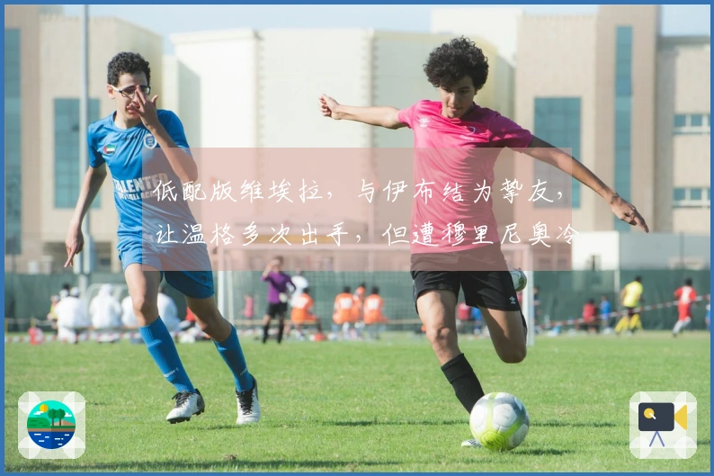 低配版维埃拉，与伊布结为挚友，让温格多次出手，但遭穆里尼奥冷落