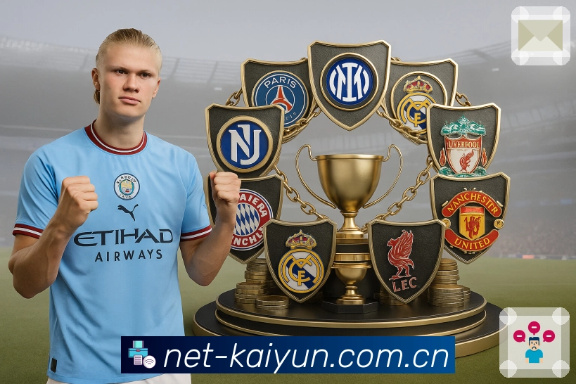 开云平台展示图